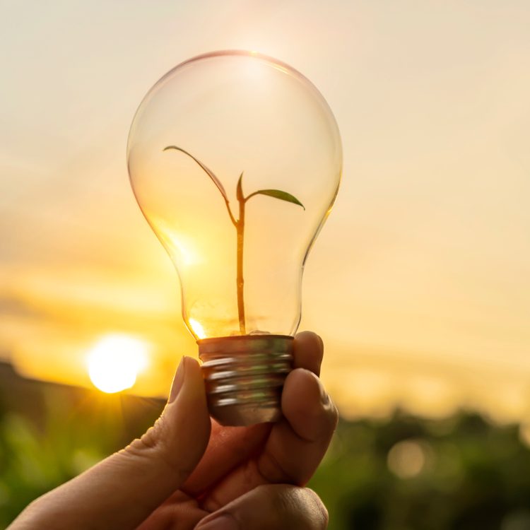 Peak Shaving Lightbulb Moment Peak Shaving - renewable energy sources