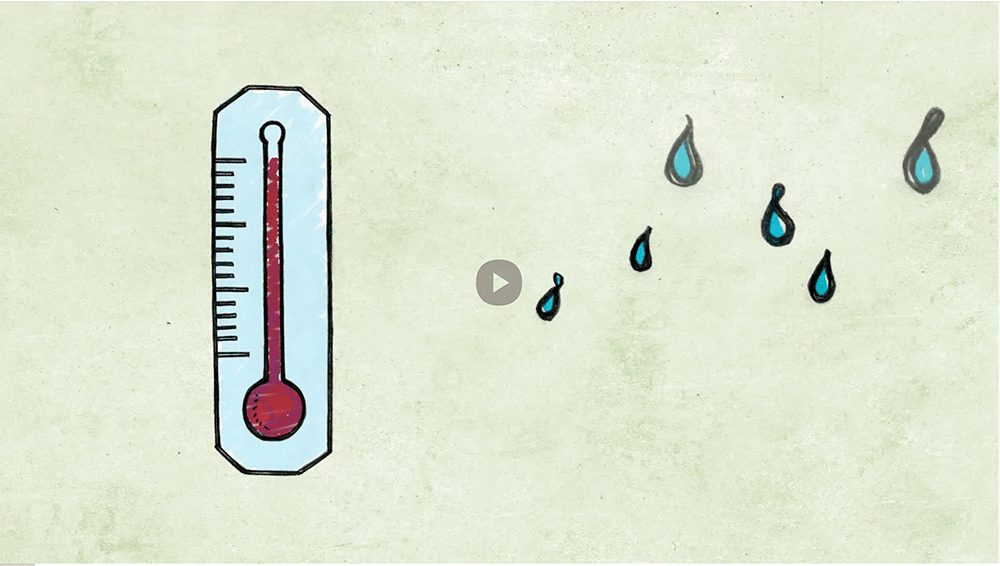 Eco Team English Video